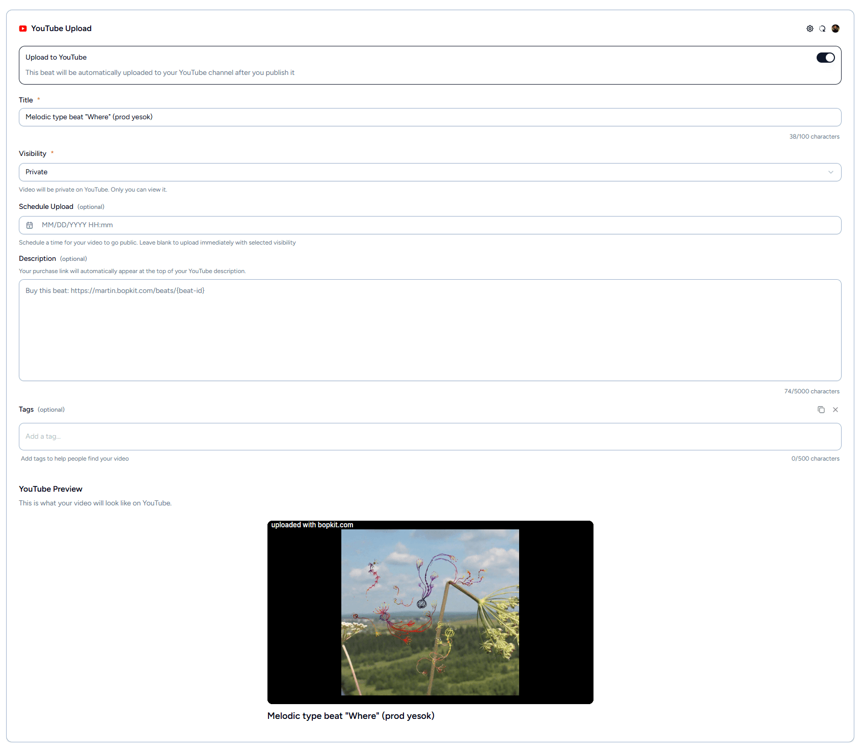 YouTube settings in beat creation with account connection, title, description, tags, visibility, and scheduling options